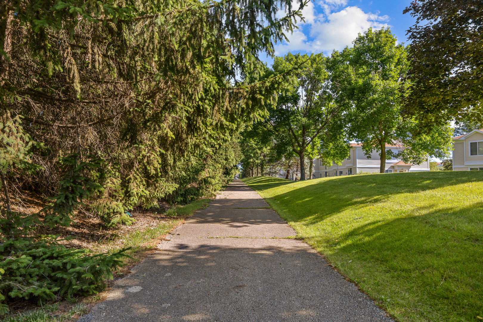 792 Mesa Drive, Unit 792 Elgin, IL 60123 - Photo 8 of 21