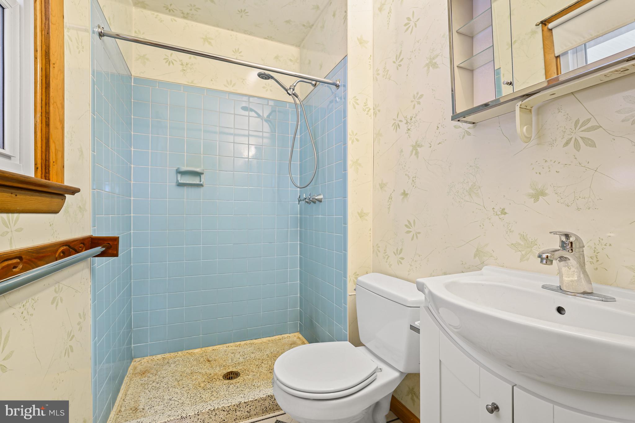 249 Washington Schoolhouse Road Rising Sun, MD 21911 - Photo 17 of 24 Primary Bathroom