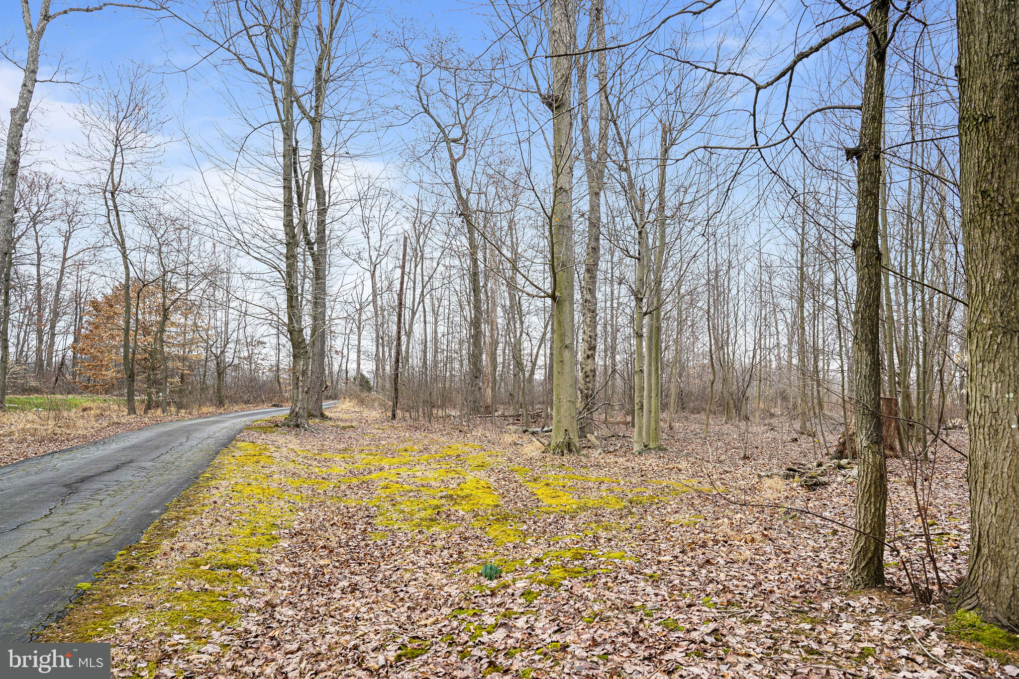 249 Washington Schoolhouse Road Rising Sun, MD 21911 - Photo 2 of 24 Driveway to Property