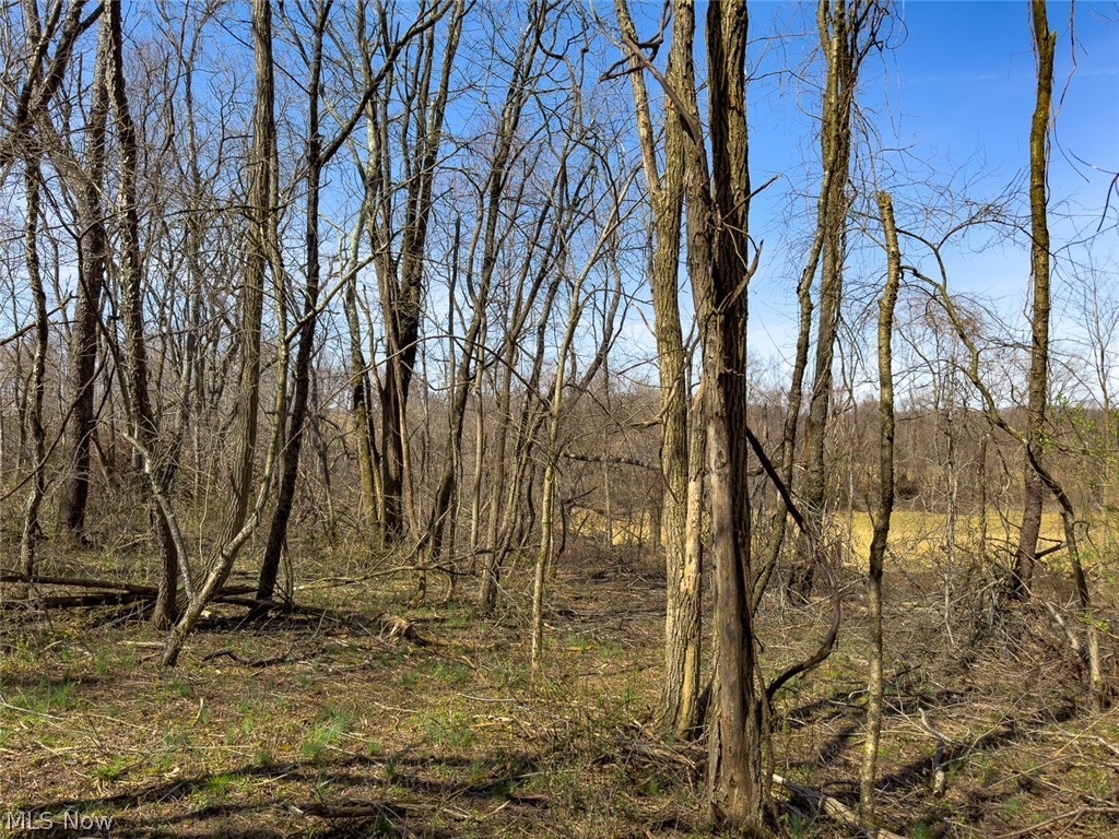 0 Lonesome Road Thornville, OH 43076 - Photo 25 of 31