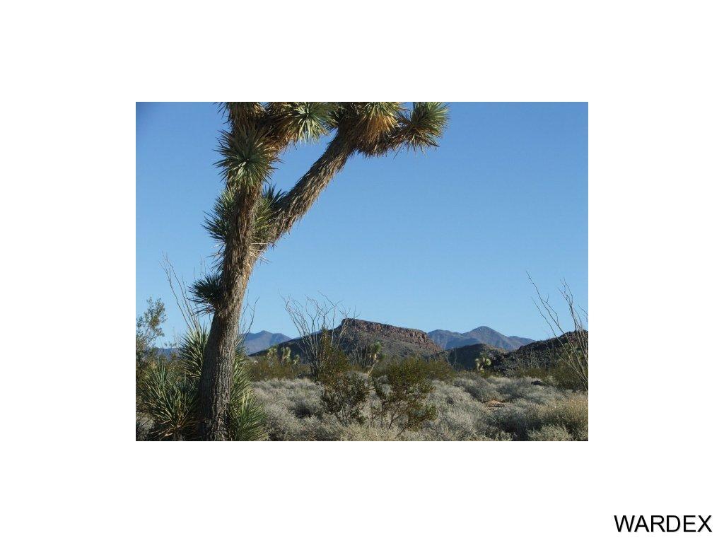 3511 East Arroyo Road Yucca, AZ 86438 - Photo 1 of 12 Primary Photo