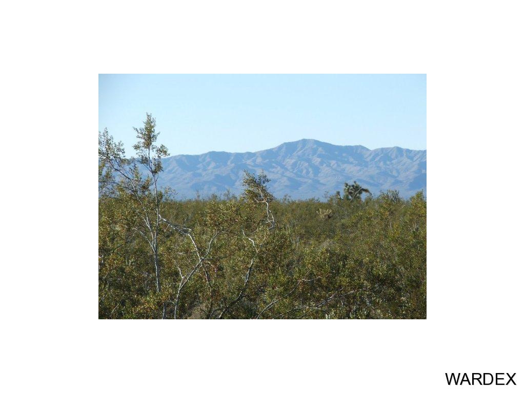 3511 East Arroyo Road Yucca, AZ 86438 - Photo 11 of 12 Additional Photo