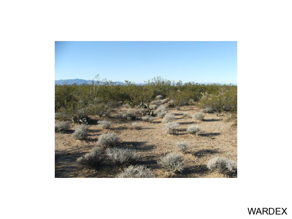 3511 East Arroyo Road Yucca, AZ 86438 - Photo 10 of 12 Additional Photo
