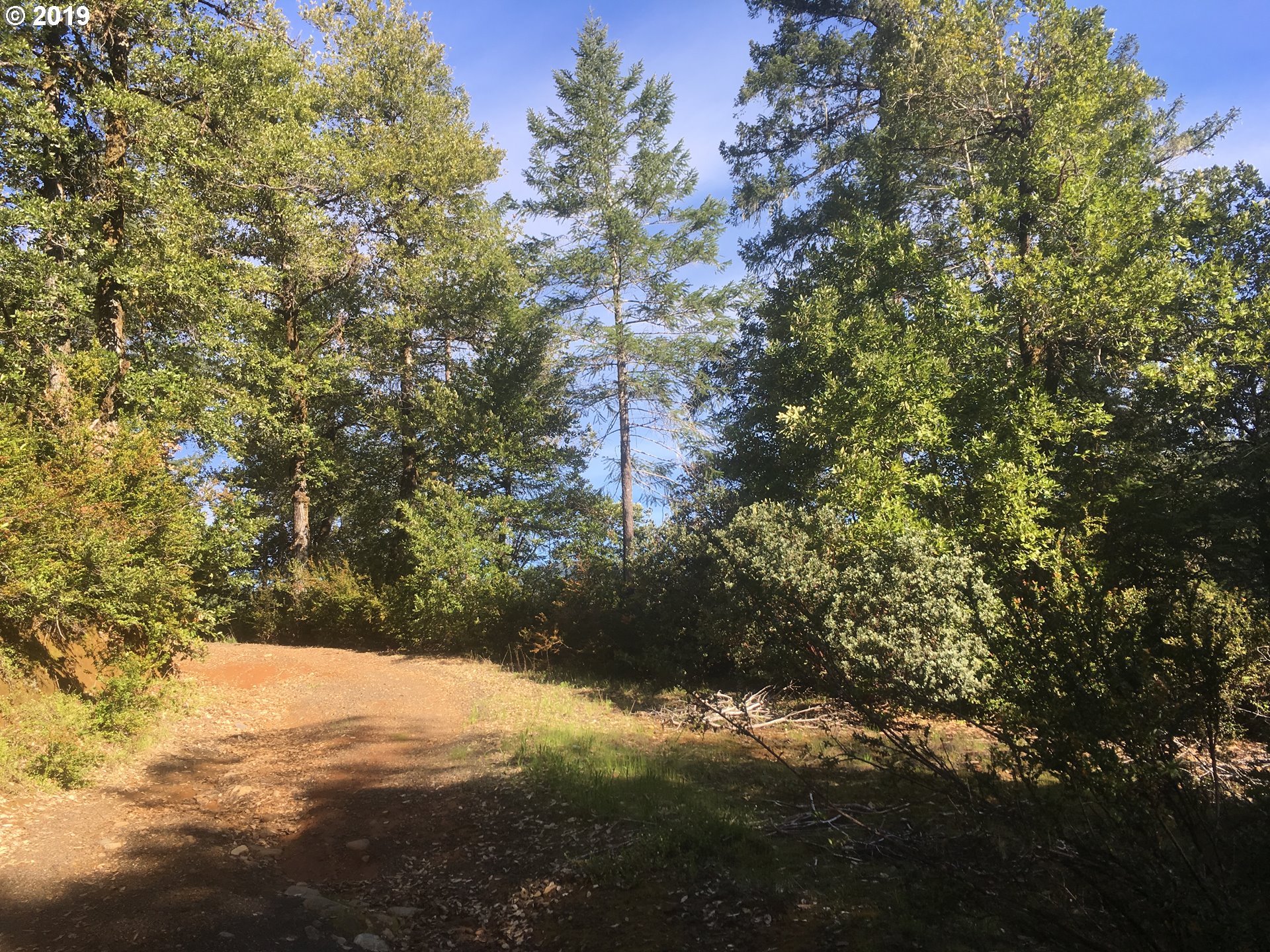 0 Agness Illahe Road, Unit 2800 Agness, OR 97406 - Photo 11 of 32 Gallery Image 11