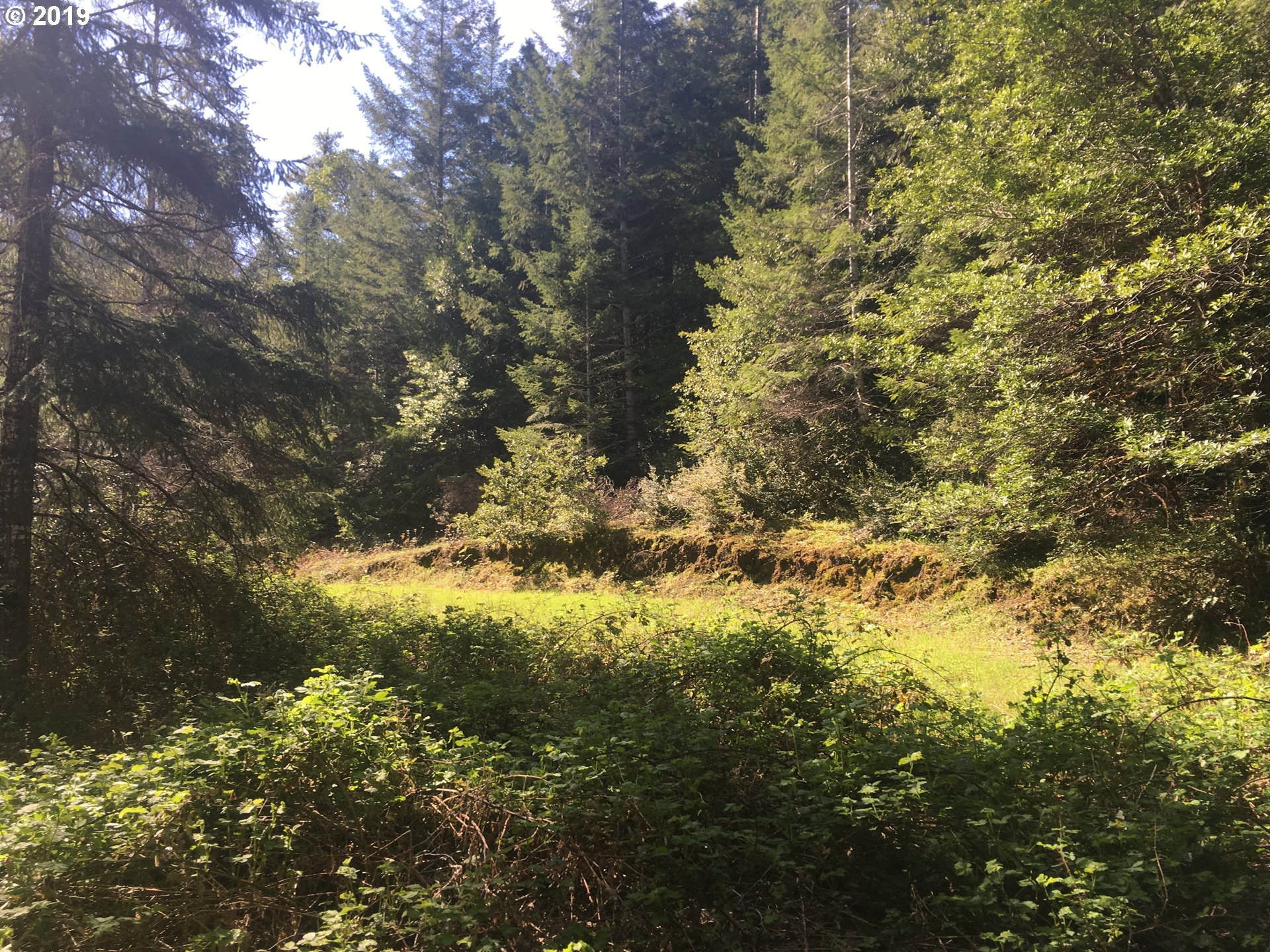 0 Agness Illahe Road, Unit 2800 Agness, OR 97406 - Photo 23 of 32 Gallery Image 23
