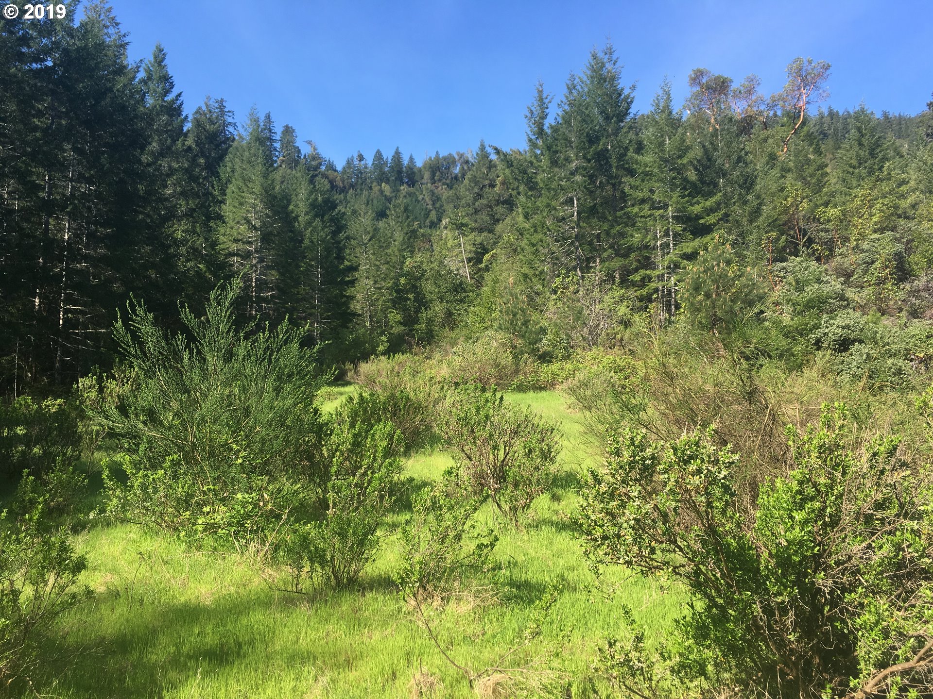 0 Agness Illahe Road, Unit 2800 Agness, OR 97406 - Photo 25 of 32 Gallery Image 25