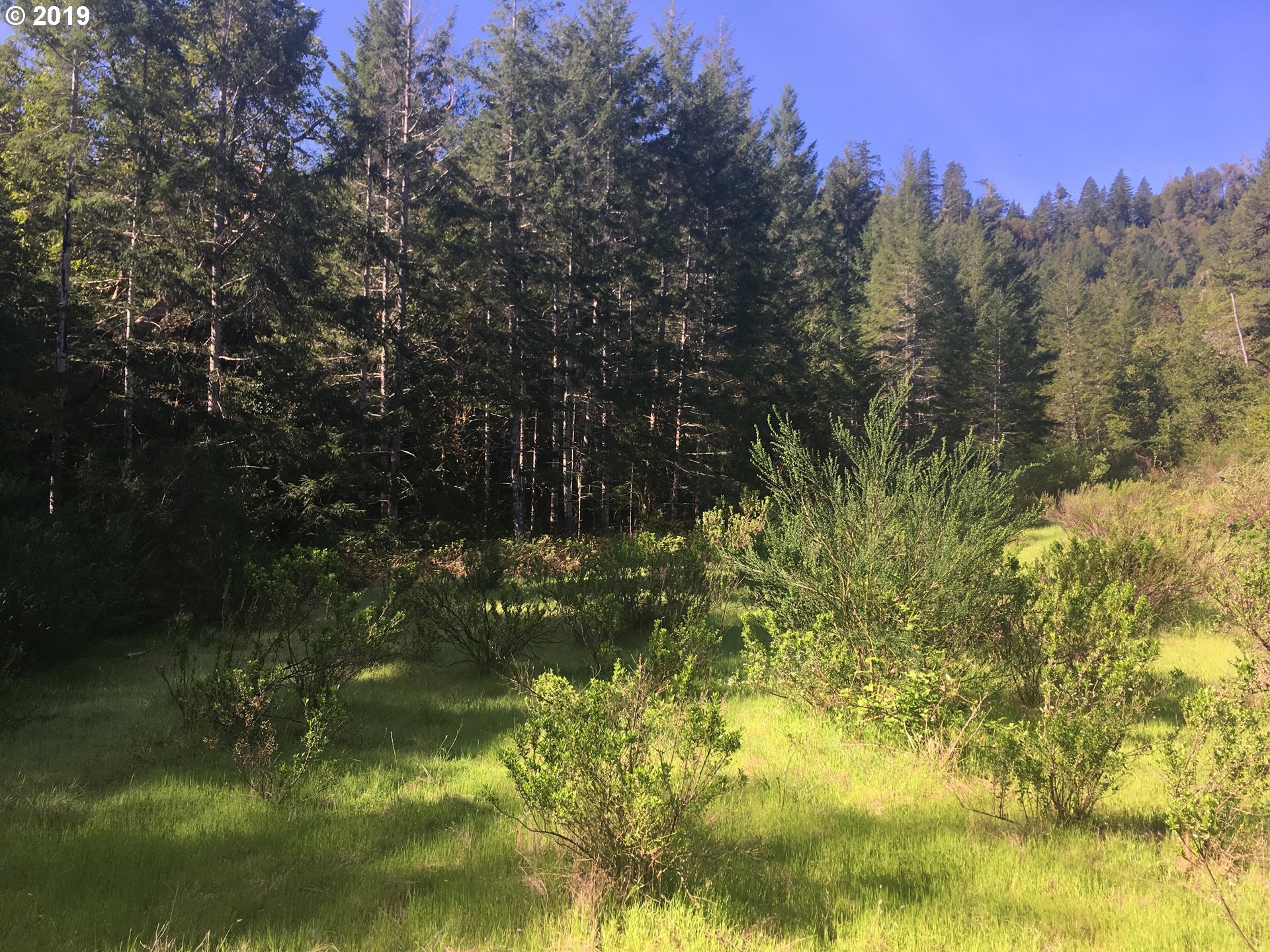 0 Agness Illahe Road, Unit 2800 Agness, OR 97406 - Photo 26 of 32 Gallery Image 26
