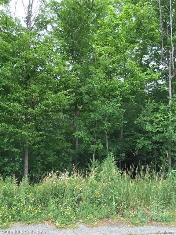 0 Ravine Street Southfield, MI 48033 - Photo 6 of 14