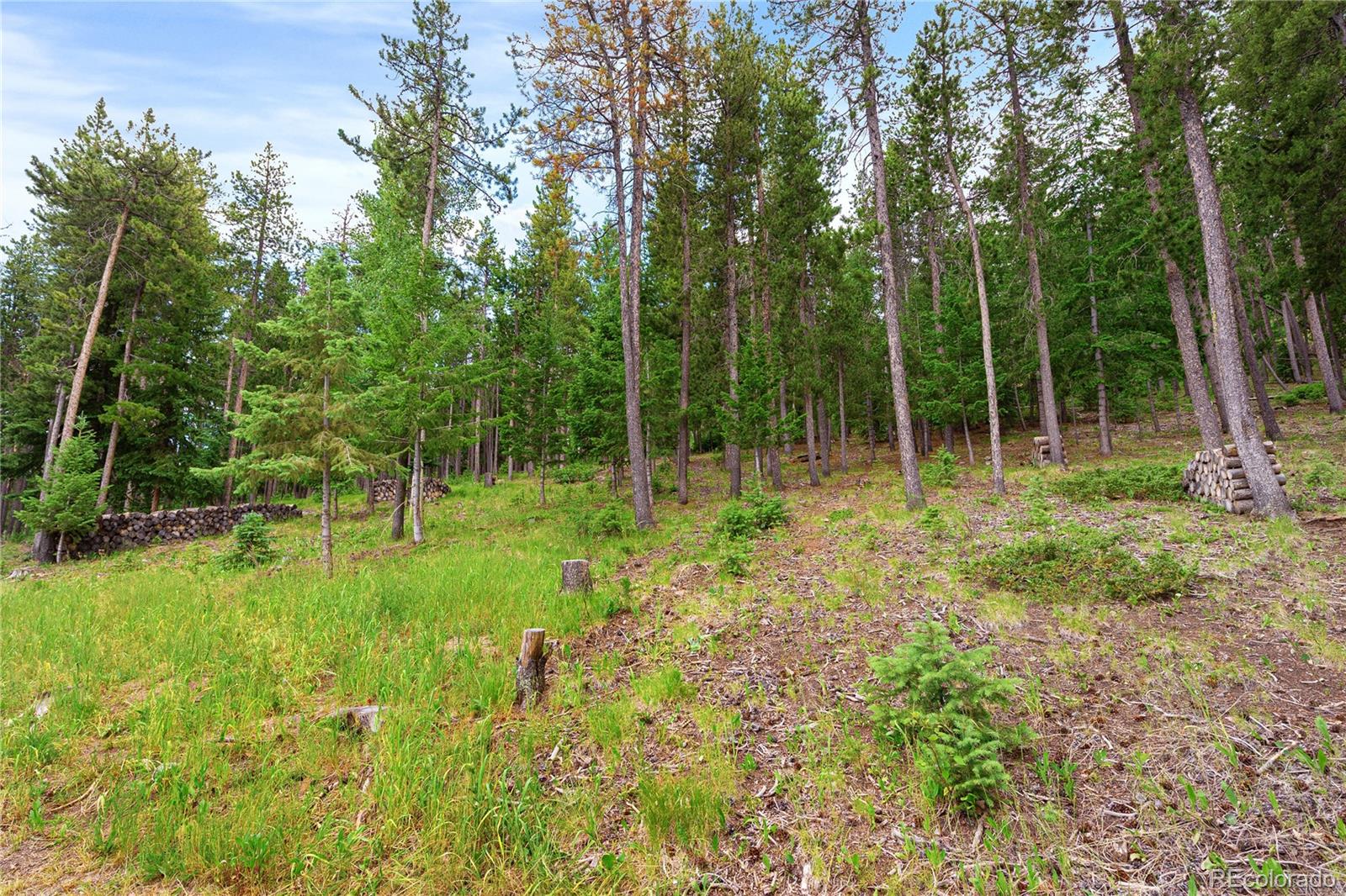 6773 Snowshoe Trail Evergreen, CO 80439 - Photo 41 of 41