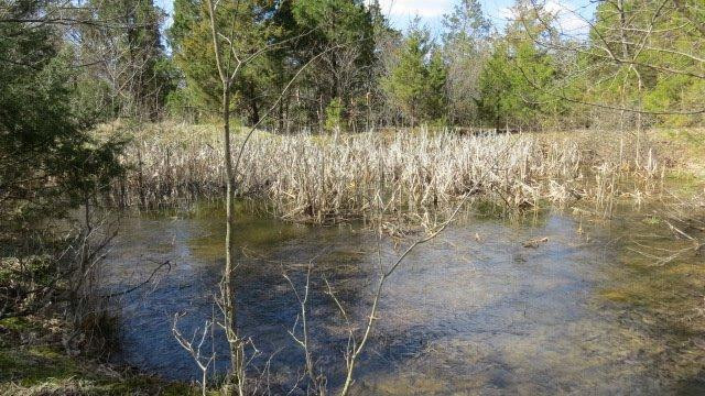 1 Baxter Ridge Road Lawrenceburg, KY 40342 - Photo 9 of 13 Photo 9
