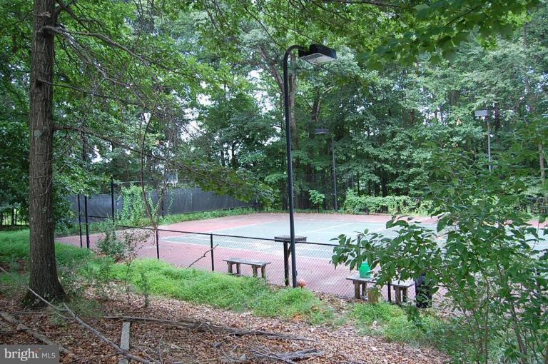 10901 Equestrian Court Reston, VA 20190 - Photo 16 of 18 Path from pool to lighted tennis court.