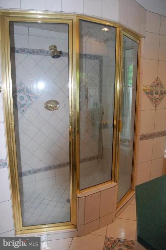 10901 Equestrian Court Reston, VA 20190 - Photo 10 of 18 Steam shower has room for two!