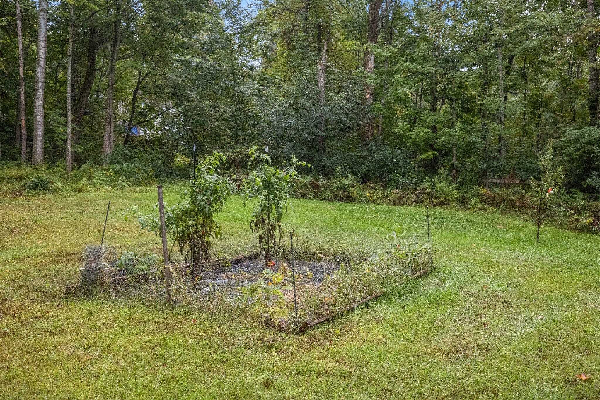 61 Gile Pond Road Franklin, NH 03235 - Photo 28 of 40 Gallery Image 28
