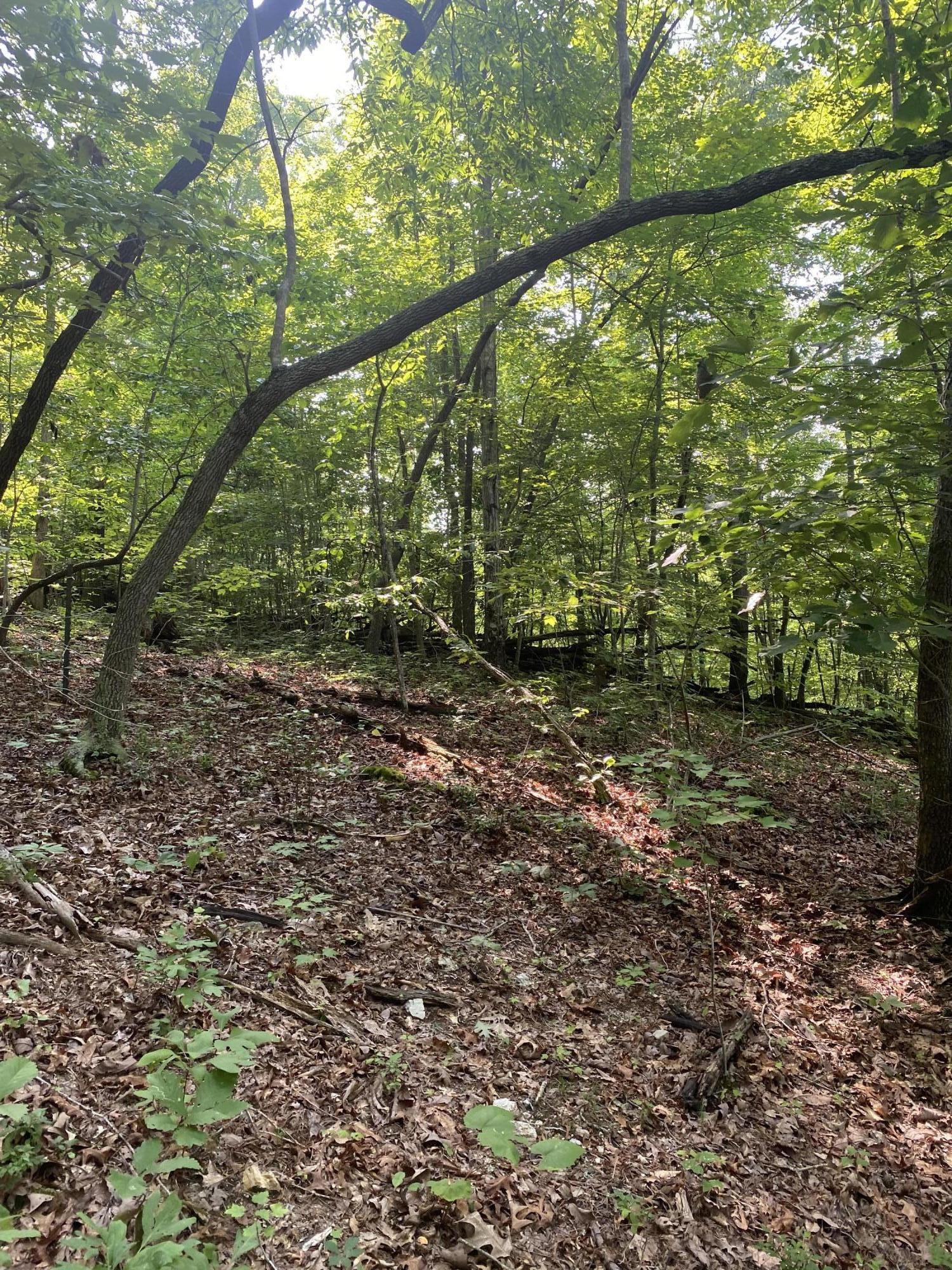 9D525CA9-BA02-48AC-A26E-644A113BC24F