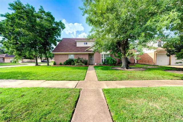 a view of a yard with plants and large trees