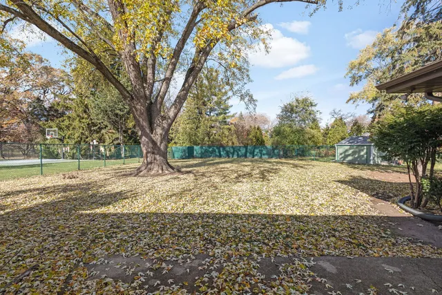 a view of a yard with plants and trees