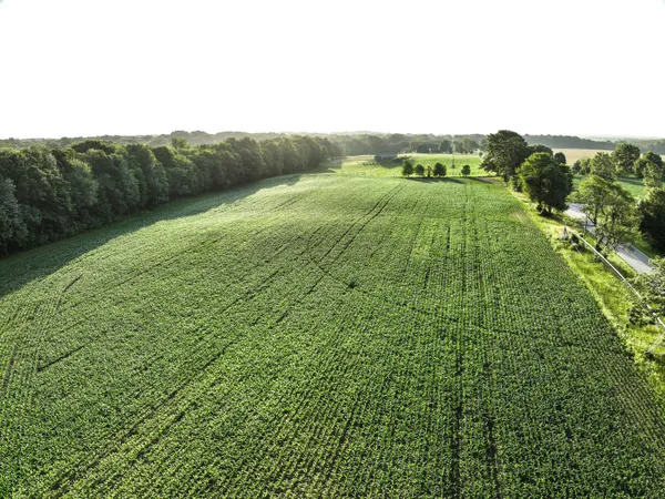 $6,450,000 | Undisclosed Address, Grant, MI 49327