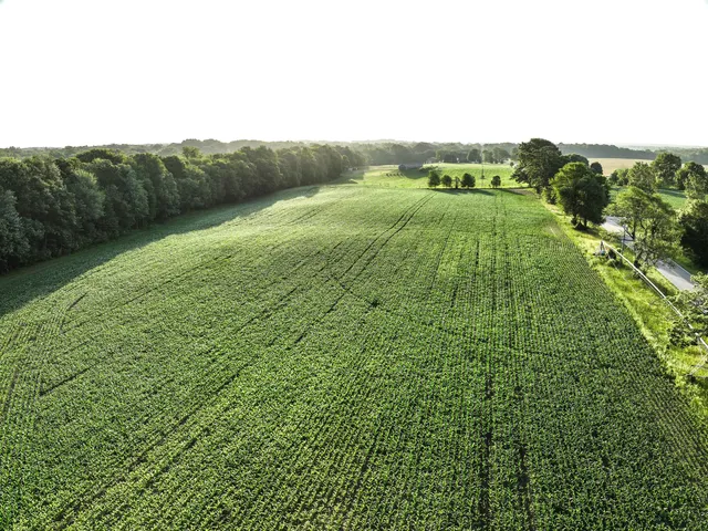 $6,450,000 | Undisclosed Address, Grant, MI 49327