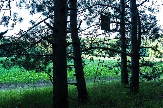 $6,450,000 | Undisclosed Address, Grant, MI 49327