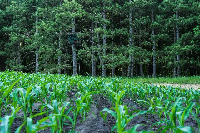 $6,450,000 | Undisclosed Address, Grant, MI 49327