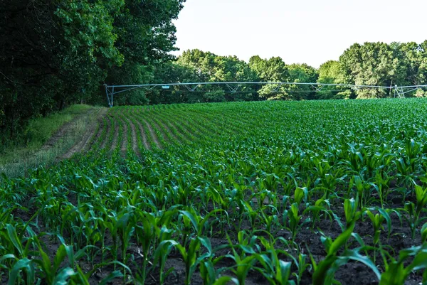 $6,450,000 | Undisclosed Address, Grant, MI 49327