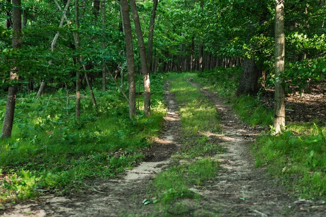 $6,450,000 | Undisclosed Address, Grant, MI 49327