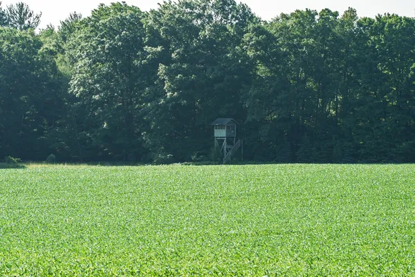 $6,450,000 | Undisclosed Address, Grant, MI 49327