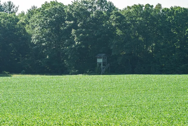 $6,450,000 | Undisclosed Address, Grant, MI 49327