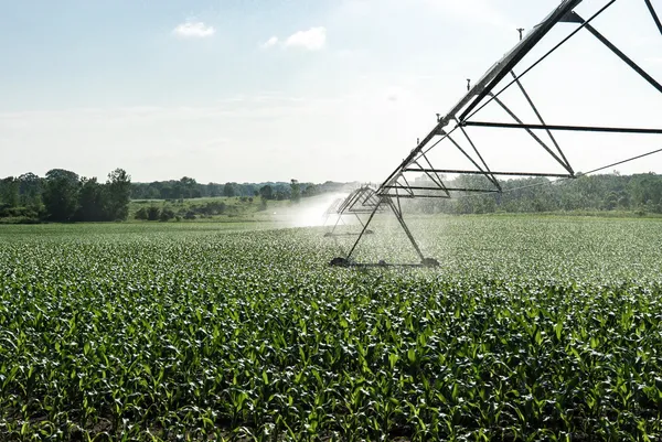 $6,450,000 | Undisclosed Address, Grant, MI 49327