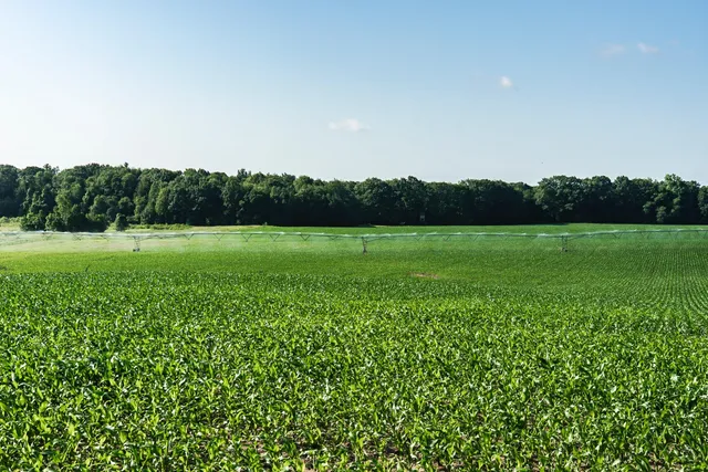 $6,450,000 | Undisclosed Address, Grant, MI 49327