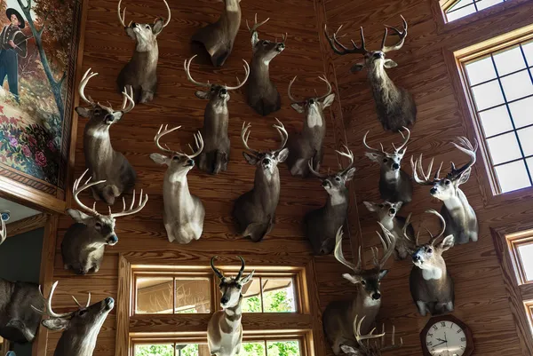 $6,450,000 | Undisclosed Address, Grant, MI 49327