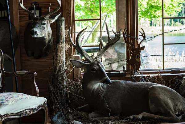 $6,450,000 | Undisclosed Address, Grant, MI 49327