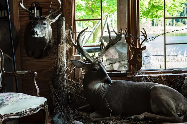 $6,450,000 | Undisclosed Address, Grant, MI 49327