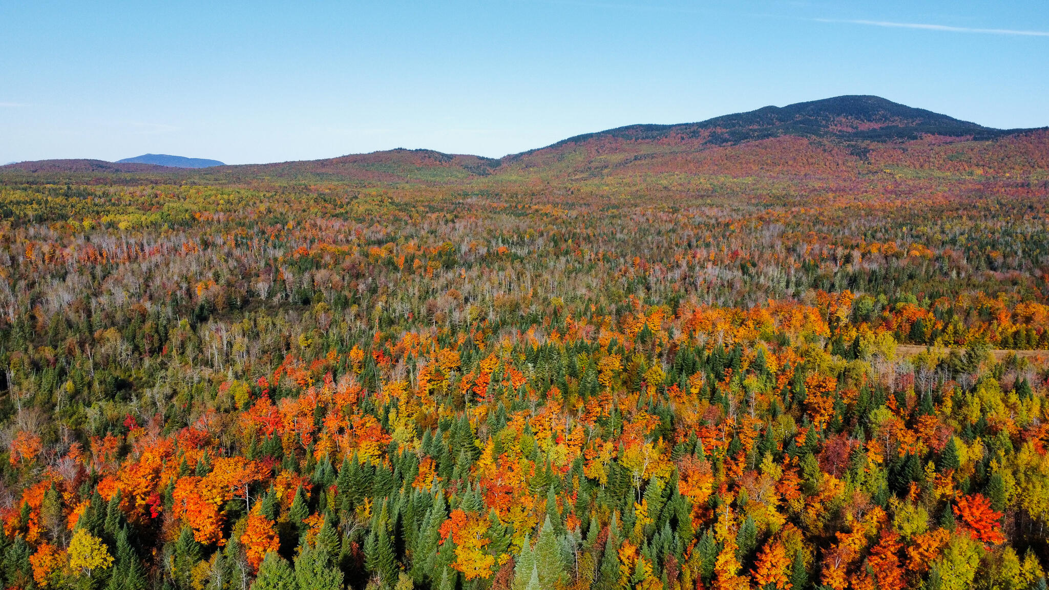 Lot 16 Up Back Rd Mount Mount Chase, ME 04765 - Photo 4 of 38 RemoteMediaFile_6619913_0_2022_10_06_09_