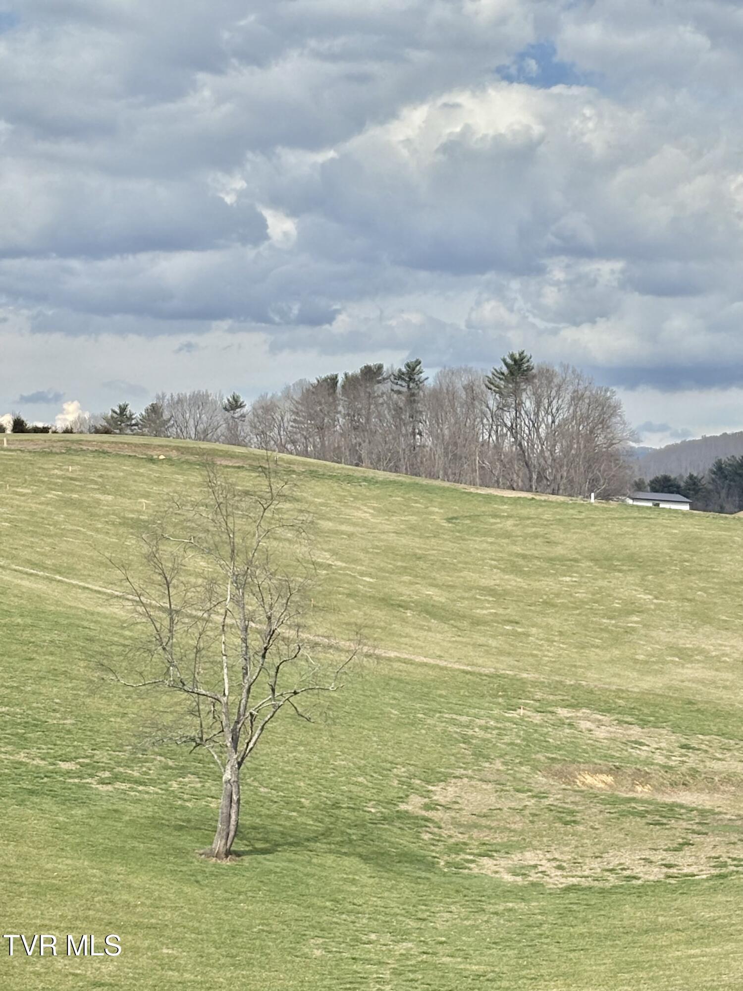 Lot 23 Prairie Overlook Road, Unit 23 Butler, TN 37640 - Photo 28 of 32 IMG_0443