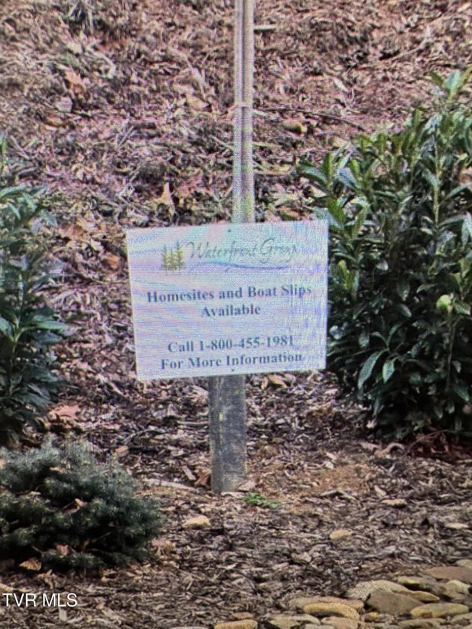 Lot 23 Prairie Overlook Road, Unit 23 Butler, TN 37640 - Photo 30 of 32 IMG_0419