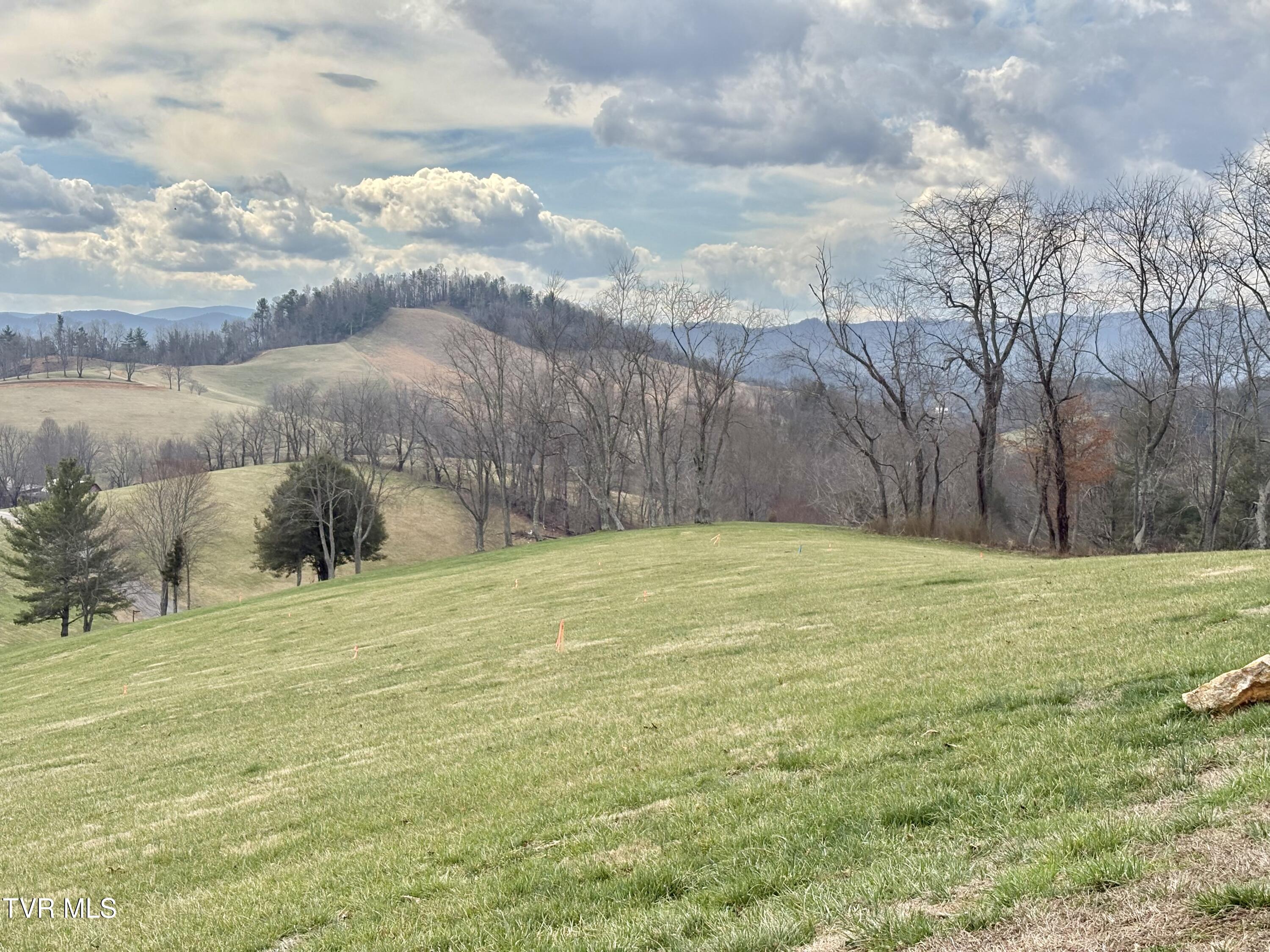 Lot 23 Prairie Overlook Road, Unit 23 Butler, TN 37640 - Photo 9 of 32 IMG_0435
