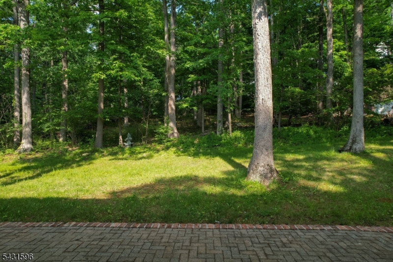 17 Drift Road Watchung, NJ 07069 - Photo 30 of 38