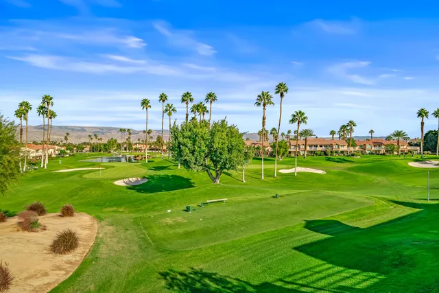a view of a park with large trees