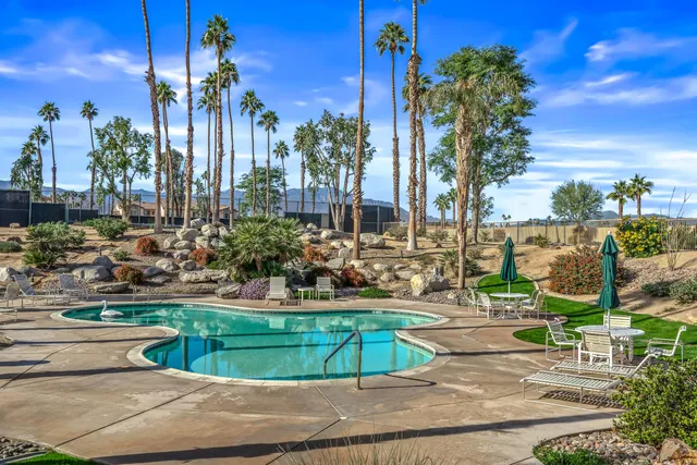 a view of a park with palm trees