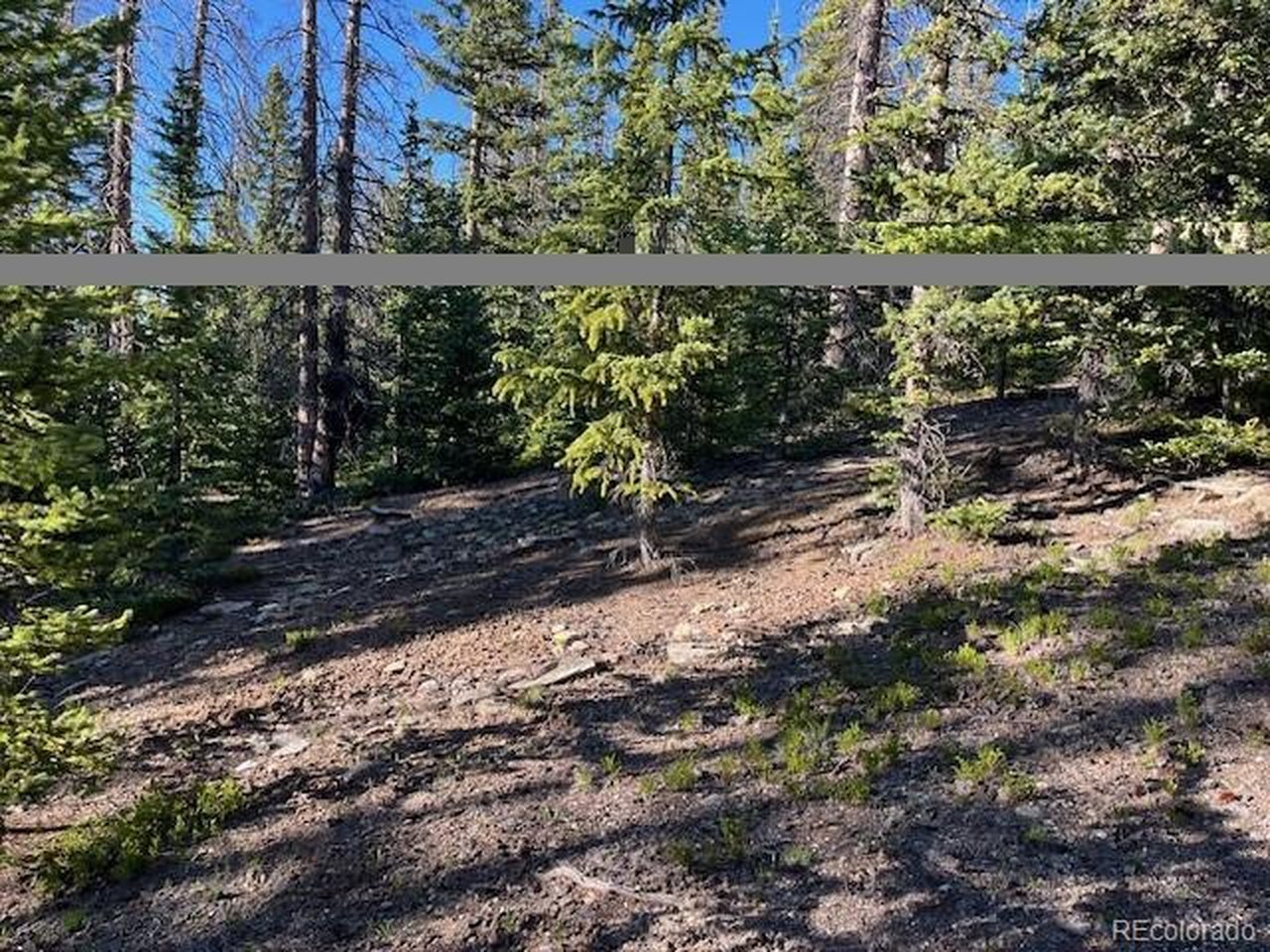 6525 Schlueter Road San Luis, CO 81152 - Photo 13 of 21
