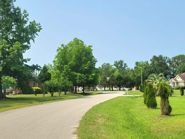 $28,000 | 0 Estate Court, Orangeburg, SC 29115