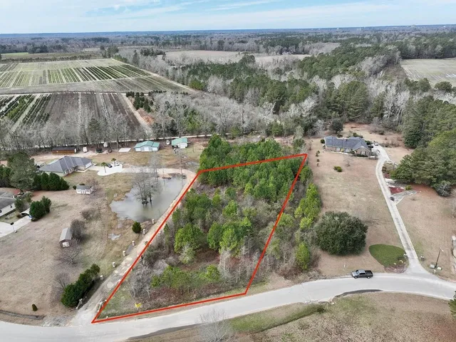 $28,000 | 0 Estate Court, Orangeburg, SC 29115