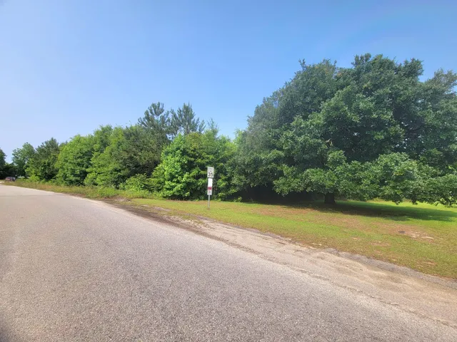 $28,000 | 0 Estate Court, Orangeburg, SC 29115