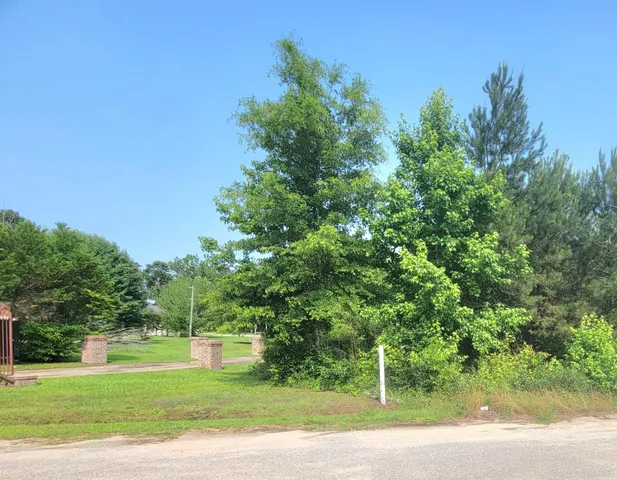 $28,000 | 0 Estate Court, Orangeburg, SC 29115