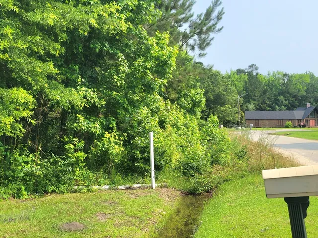 $28,000 | 0 Estate Court, Orangeburg, SC 29115