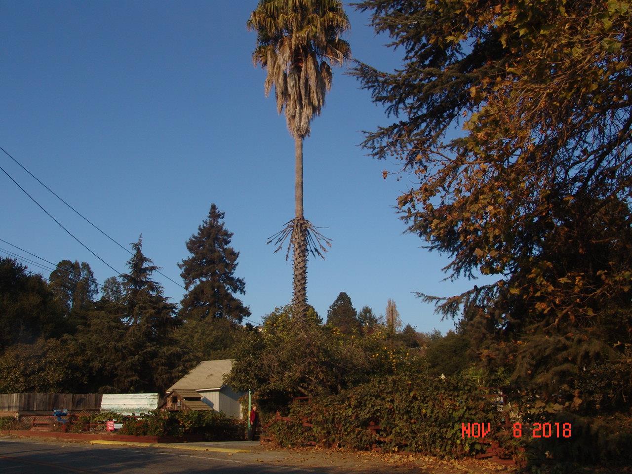1168 Green Valley Road Watsonville, CA 95076 - Photo 2 of 18 Gallery Image 2