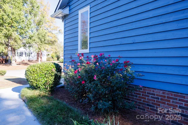 a view of outdoor space deck and trampoline