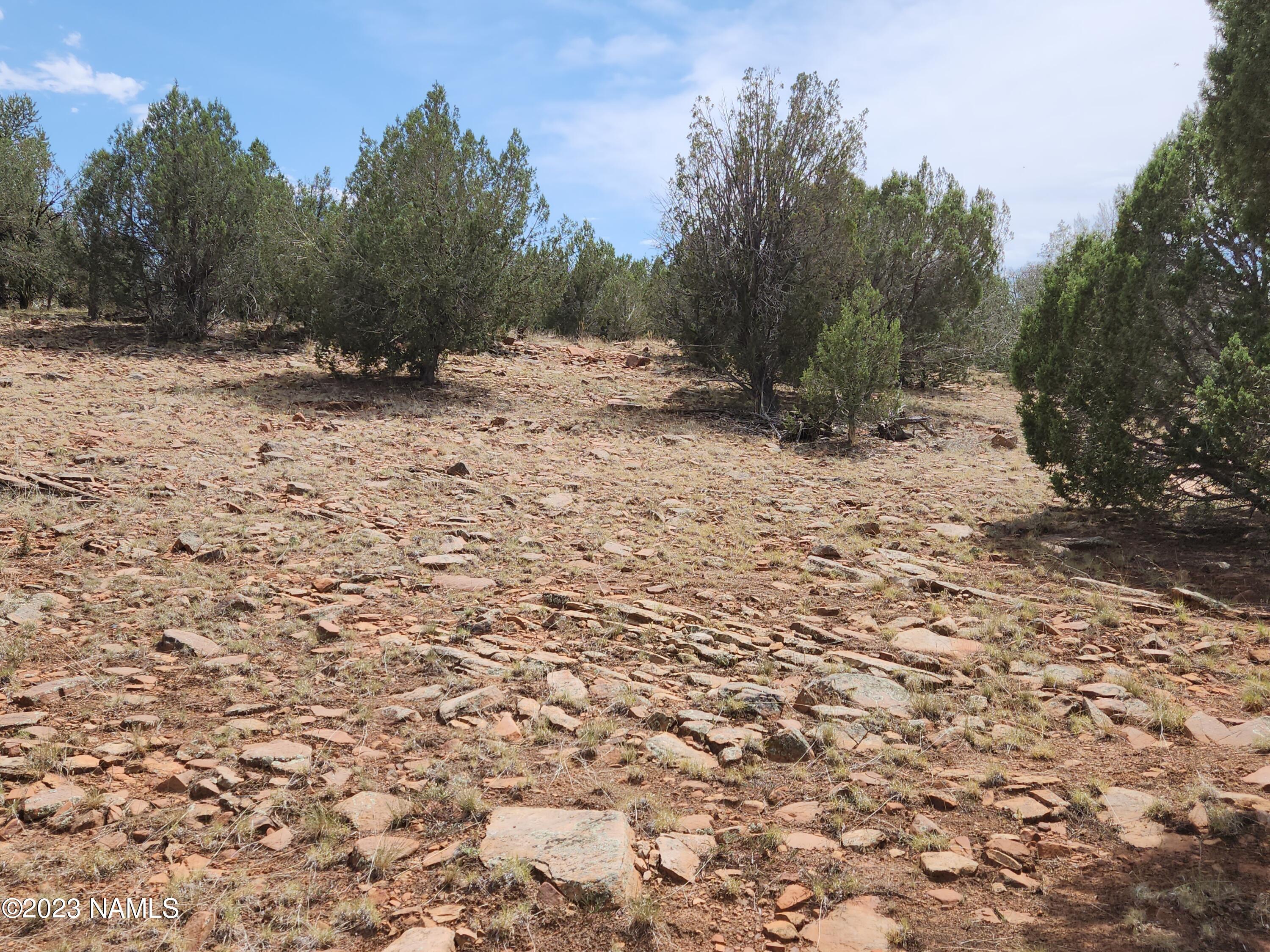 16898 North Sevens Ranch Road Williams, AZ 86046 - Photo 48 of 55 20230729_142543