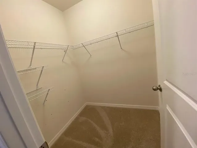 $2,300 | 3250 Pleasant Willow Court, Brandon, FL 33511